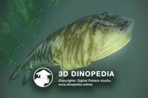 Девонский период Пандерихтис 3D Dinopedia