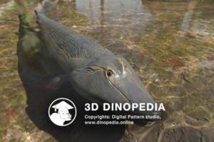 Devonian period Tiktaalik 3D Dinopedia