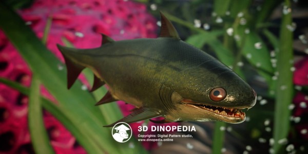 Silurian period Nerepisacanthus 3D Dinopedia