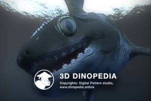 Carboniferous period Stethacanthus 3D Dinopedia