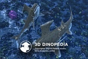 Carboniferous period Stethacanthus 3D Dinopedia