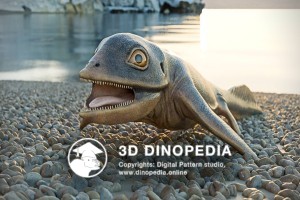 Triassic period Cartorhynchus 3D Dinopedia