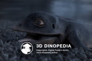 Triassic period Cartorhynchus 3D Dinopedia