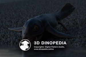 Triassic period Cartorhynchus 3D Dinopedia