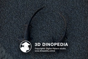 Triassic period Cartorhynchus 3D Dinopedia
