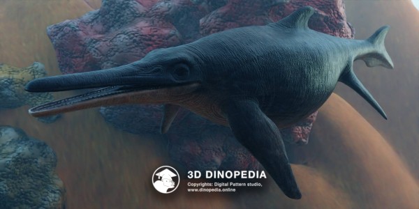 Triassic period Shonisaurus 3D Dinopedia