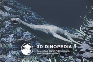 Jurassic period Cryptoclidus 3D Dinopedia