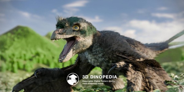 Jurassic period Epidexipteryx 3D Dinopedia