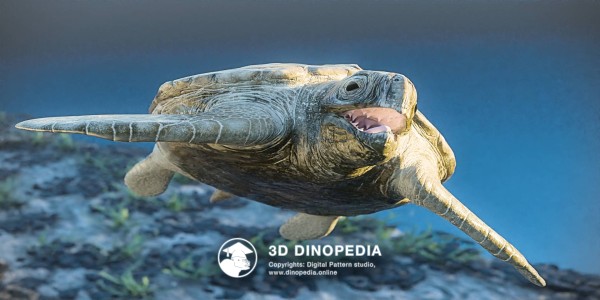 Cretaceous period Archelon 3D Dinopedia