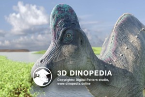 Cretaceous period Corythosaurus 3D Dinopedia