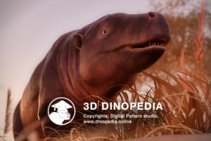 Paleogene period Anthracotherium 3D Dinopedia