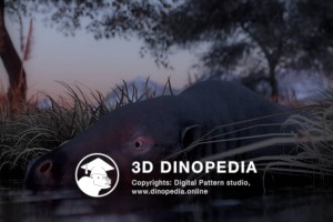 Paleogene period Anthracotherium 3D Dinopedia