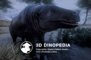 Paleogene period Anthracotherium 3D Dinopedia