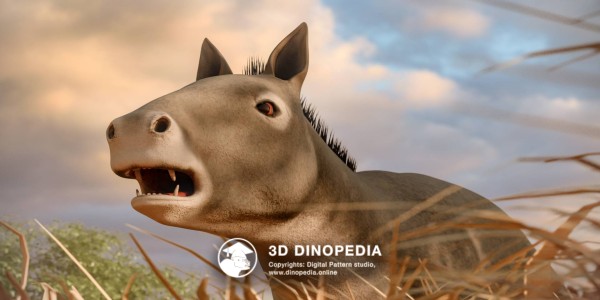 Paleogene period Eohippus 3D Dinopedia