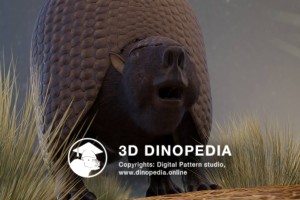 Quaternary period Doedicurus 3D Dinopedia