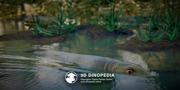 Carboniferous period Pederpes 3D Dinopedia