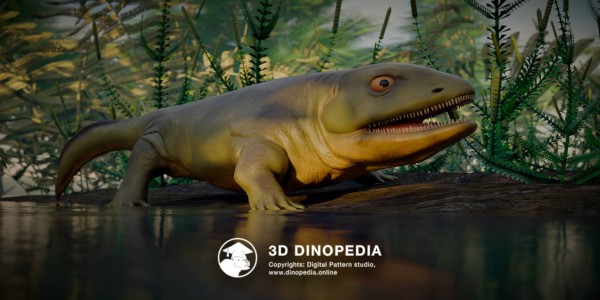 Carboniferous period Pederpes 3D Dinopedia