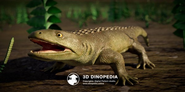 Пермский период Сеймурия 3D Dinopedia