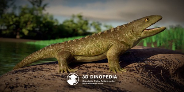 Пермский период Сеймурия 3D Dinopedia