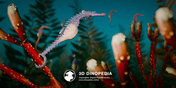 Neogene period Hippocampus 3D Dinopedia