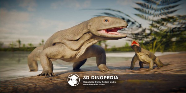 Triassic period Pappochelys 3D Dinopedia