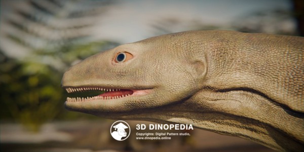 Triassic period Pappochelys 3D Dinopedia