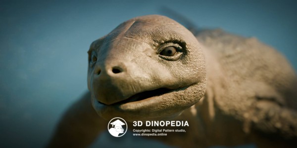Triassic period Eorhynchochelys 3D Dinopedia