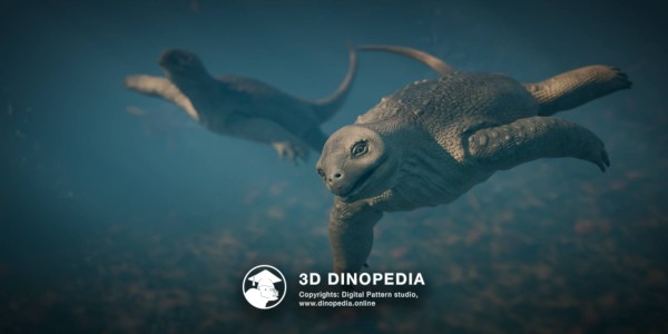 Triassic period Eorhynchochelys 3D Dinopedia