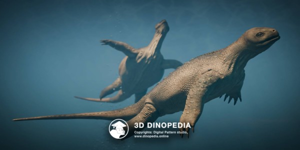 Triassic period Eorhynchochelys 3D Dinopedia