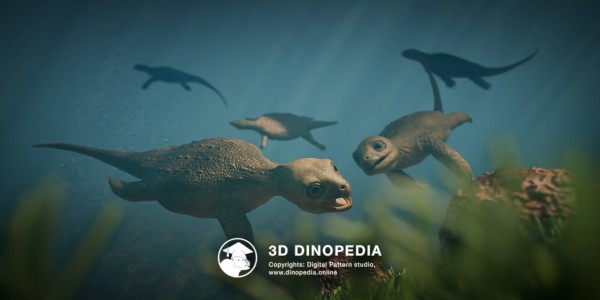 Triassic period Eorhynchochelys 3D Dinopedia