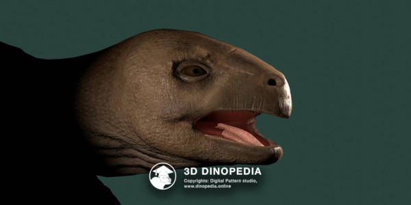 Triassic period Eorhynchochelys 3D Dinopedia