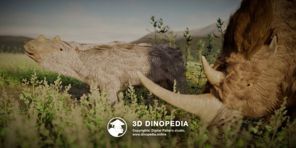 Neogene period Coelodonta 3D Dinopedia
