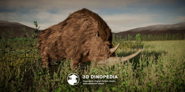 Neogene period Coelodonta 3D Dinopedia