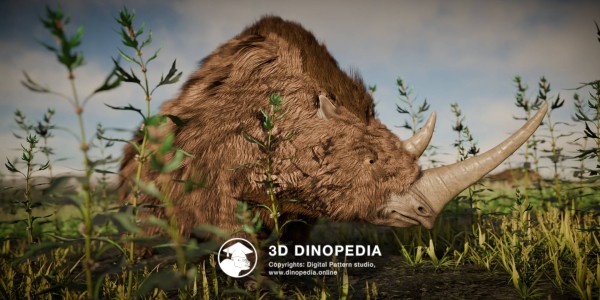 Neogene period Coelodonta 3D Dinopedia