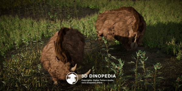 Neogene period Coelodonta 3D Dinopedia