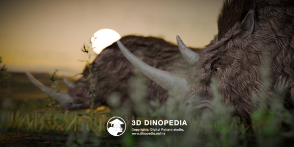 Neogene period Coelodonta 3D Dinopedia