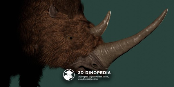 Neogene period Coelodonta 3D Dinopedia
