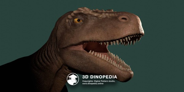 Jurassic period Megalosaurus 3D Dinopedia
