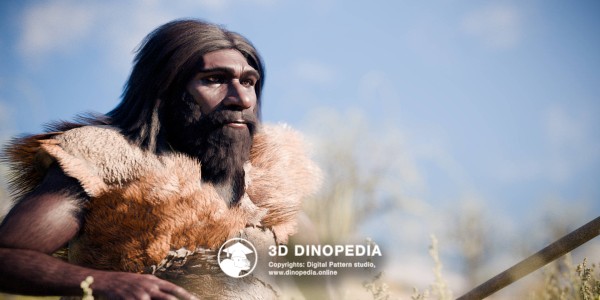 Quaternary period Neanderthal 3D Dinopedia