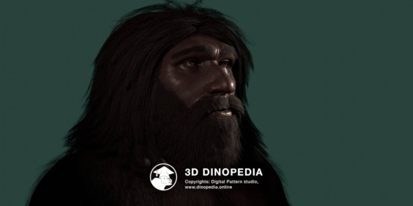 Quaternary period Neanderthal 3D Dinopedia
