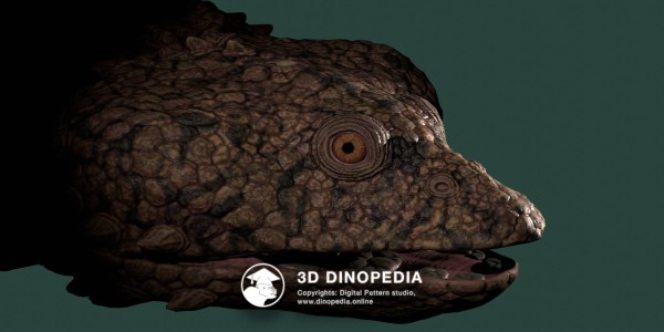Триасовый период Циамод 3D Dinopedia
