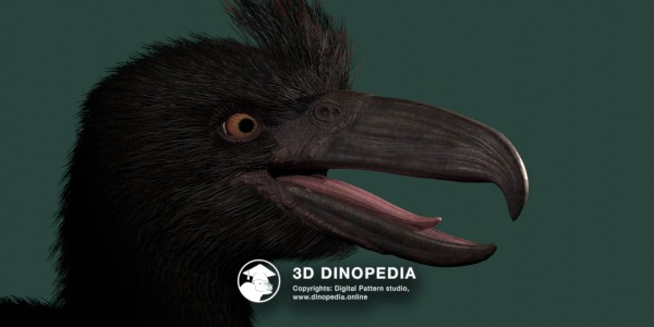 Неогеновый период Келенкен 3D Dinopedia