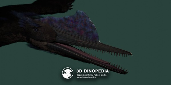 Юрский период Дарвиноптер 3D Dinopedia