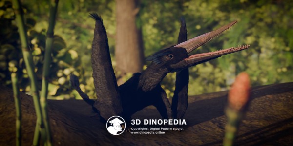Юрский период Дарвиноптер 3D Dinopedia