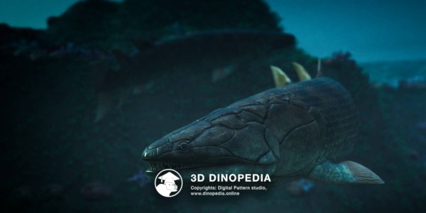 Devonian period Eusthenopteron 3D Dinopedia