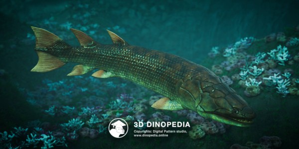 Devonian period Eusthenopteron 3D Dinopedia