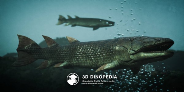 Devonian period Eusthenopteron 3D Dinopedia