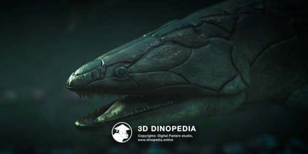 Devonian period Eusthenopteron 3D Dinopedia