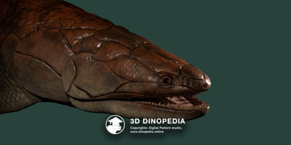 Devonian period Eusthenopteron 3D Dinopedia