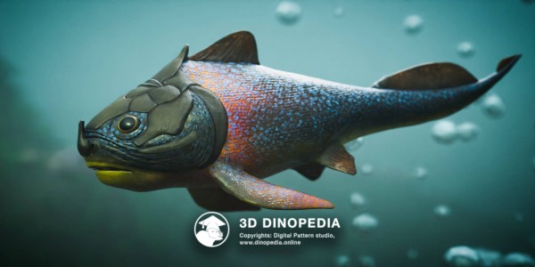 Devonian period Materpiscis 3D Dinopedia